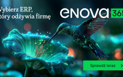 enova-google-1200x628 cta